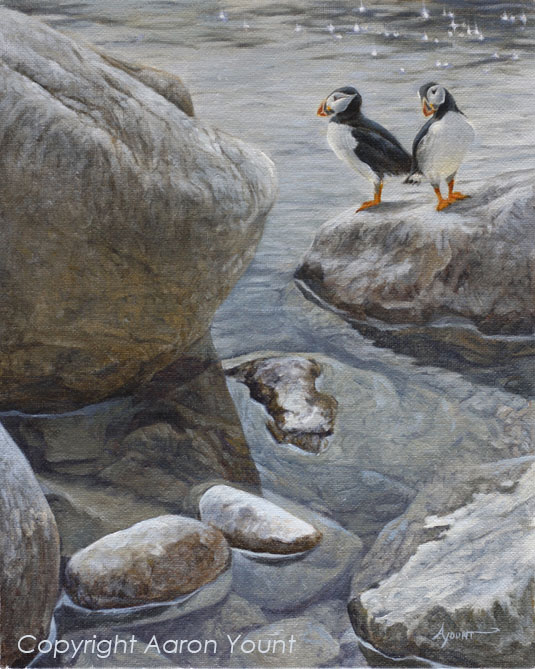 Atlantic Puffin Painting